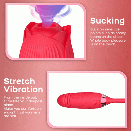 Fantasy Thrusting Rose Vibrator (Red) Adult luxury