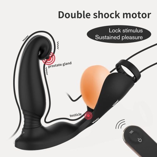 Premium Pro Prostate Massager Adult Luxury