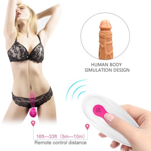 Zephyros Unisex Vibrator (Pink) with Remote Adult Luxury